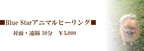 �y�b�g����̂��̃����e�i���X