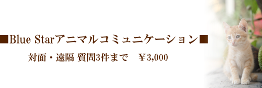 �y�b�g����̂��̃����e�i���X