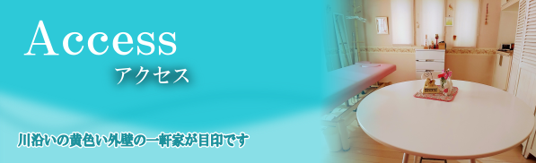 �A�N�Z�X�̃y�[�W