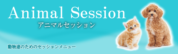 �A�j�}���Z�b�V�����̃y�[�W